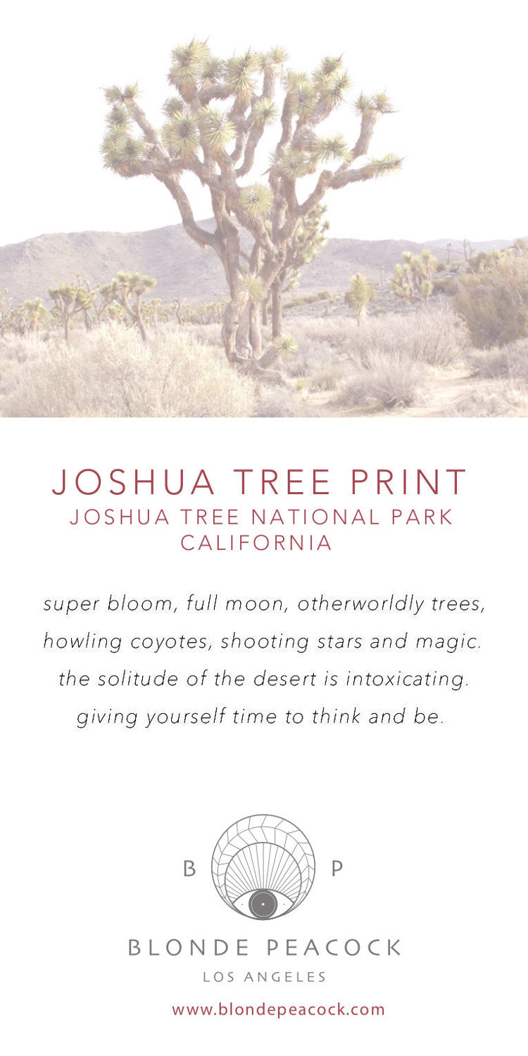 JOSHUA TREE PRINT Full Length Hoodie-Wholesale